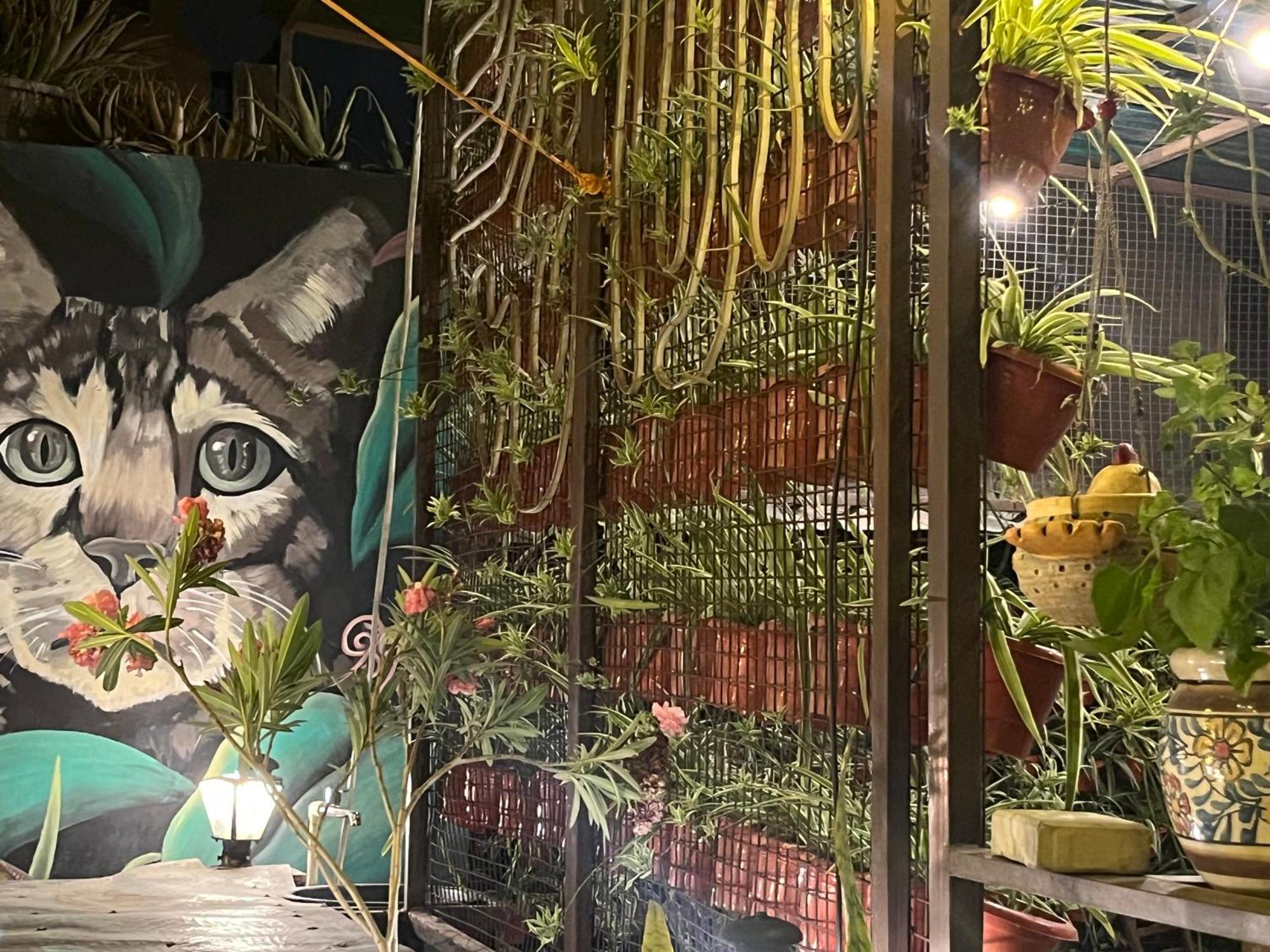 Anavrin Art House Διαμέρισμα Νέο Δελχί Εξωτερικό φωτογραφία